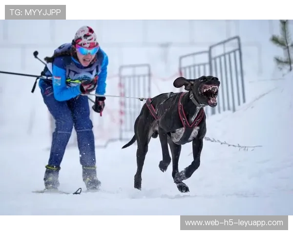 雪橇世界锦标：俄罗斯队领跑，挑战新纪录！，俄罗斯的雪橇