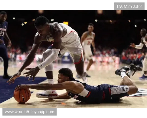 尼克斯篮板拼到位，二次进攻赚足