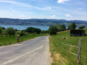 LEYU乐鱼体育官方网站-“缆绳滑水：东桃花岛赛场呈现全新水上运动魅力”