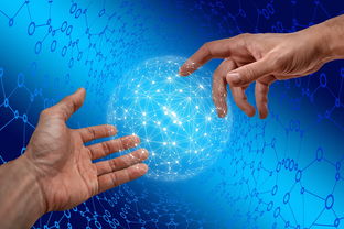 乐鱼体育(中国)官方网站-德国仰泳项目技术稳定提升，德国仰泳项目技术稳定提升方案